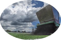Sports Grass Installation|Taishan Sports - Global Synthetic Grass, Synthetic Grass, Synthetic Grass|After-Sales |Taishan