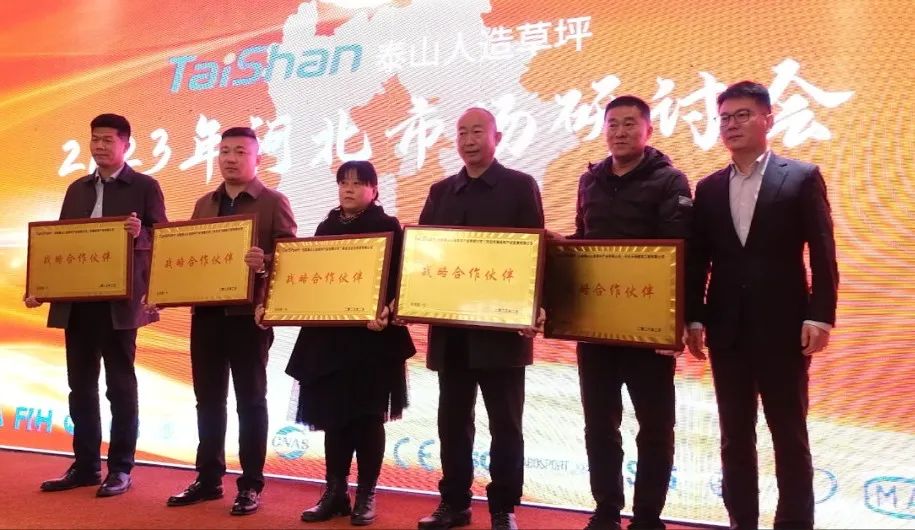 Успешно прошел семинар по искусственному газону Тайшань 2023 Хэбэй